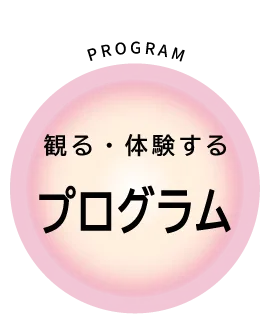 プログラムボタン
